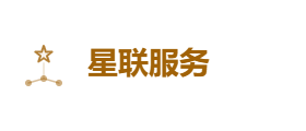 星联服务有限公司