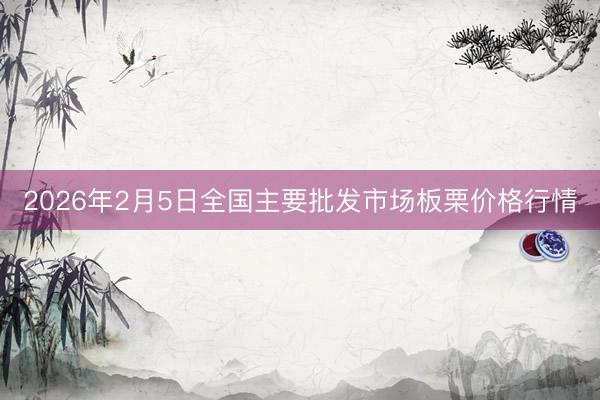 2026年2月5日全国主要批发市场板栗价格行情