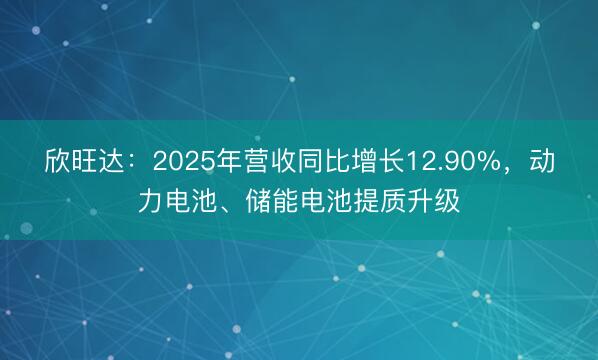 欣旺达：2025年营收同比增长12.90%，动力电池、储能电池提质升级