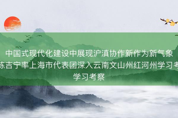 中国式现代化建设中展现沪滇协作新作为新气象！陈吉宁率上海市代表团深入云南文山州红河州学习考察
