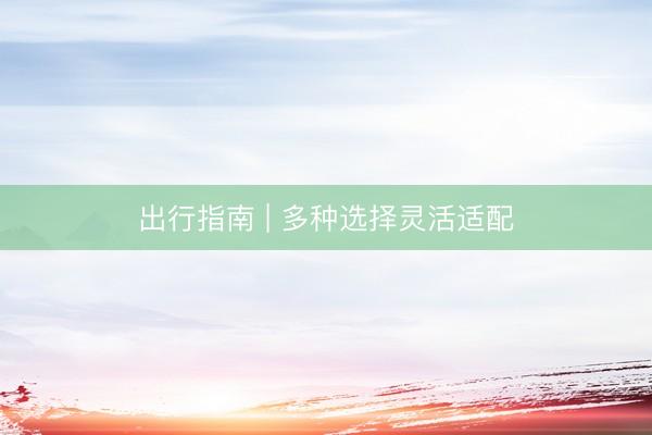 出行指南 | 多种选择灵活适配