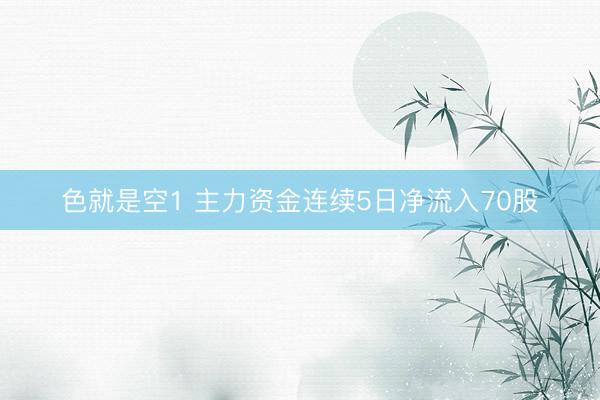 色就是空1 主力资金连续5日净流入70股
