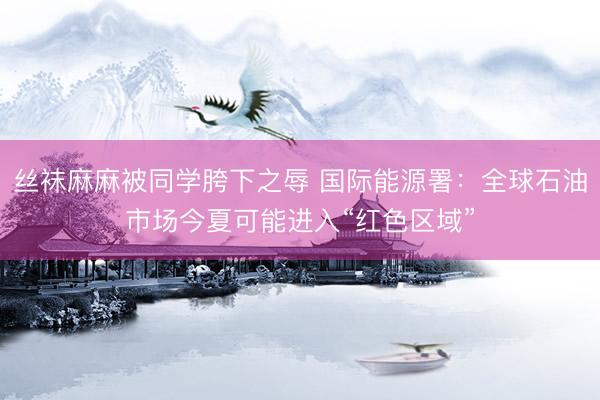 丝袜麻麻被同学胯下之辱 国际能源署：全球石油市场今夏可能进入“红色区域”