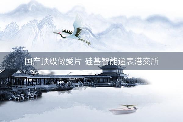 国产顶级做愛片 硅基智能递表港交所