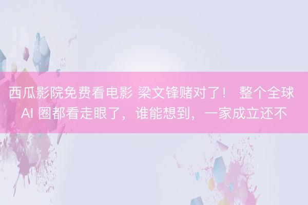 西瓜影院免费看电影 梁文锋赌对了！ 整个全球 AI 圈都看走眼了，谁能想到，一家成立还不