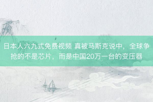 日本人六九式免费视频 真被马斯克说中，全球争抢的不是芯片，而是中国20万一台的变压器
