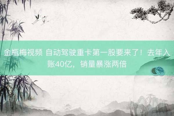 金瓶梅视频 自动驾驶重卡第一股要来了！去年入账40亿，销量暴涨两倍