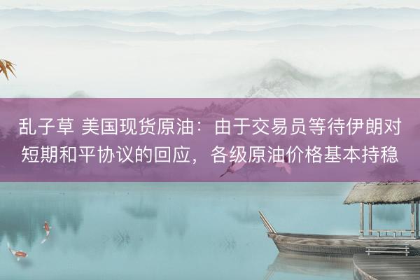 乱子草 美国现货原油：由于交易员等待伊朗对短期和平协议的回应，各级原油价格基本持稳