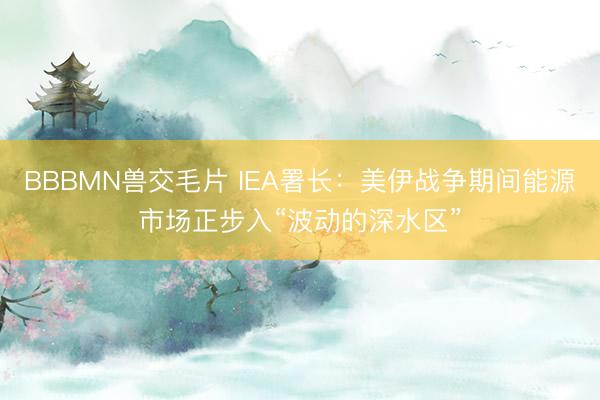 BBBMN兽交毛片 IEA署长：美伊战争期间能源市场正步入“波动的深水区”