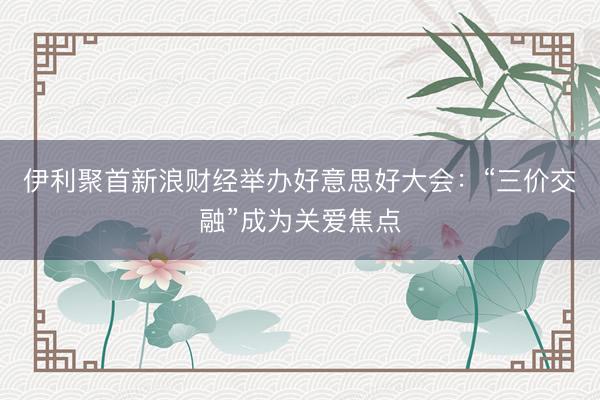 伊利聚首新浪财经举办好意思好大会：“三价交融”成为关爱焦点