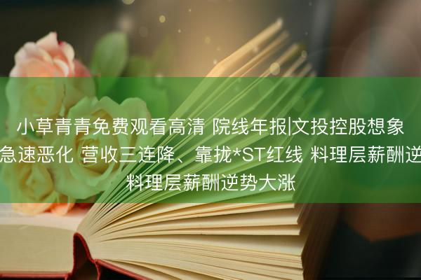 小草青青免费观看高清 院线年报|文投控股想象现款流急速恶化 营收三连降、靠拢*ST红线 料理层薪酬逆势大涨