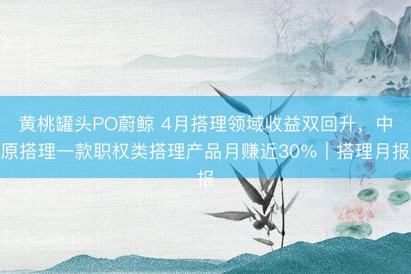 黄桃罐头PO蔚鲸 4月搭理领域收益双回升，中原搭理一款职权类搭理产品月赚近30%｜搭理月报