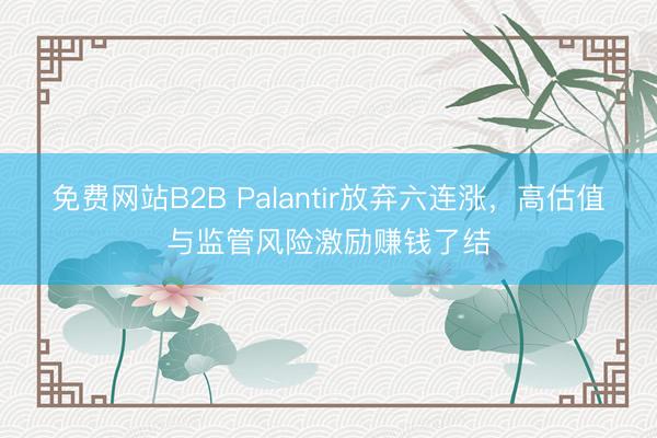免费网站B2B Palantir放弃六连涨，高估值与监管风险激励赚钱了结