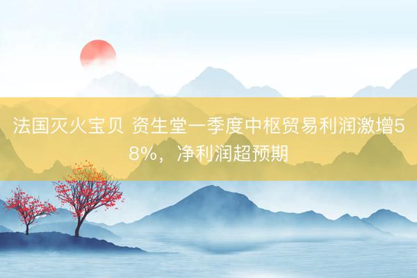 法国灭火宝贝 资生堂一季度中枢贸易利润激增58%，净利润超预期