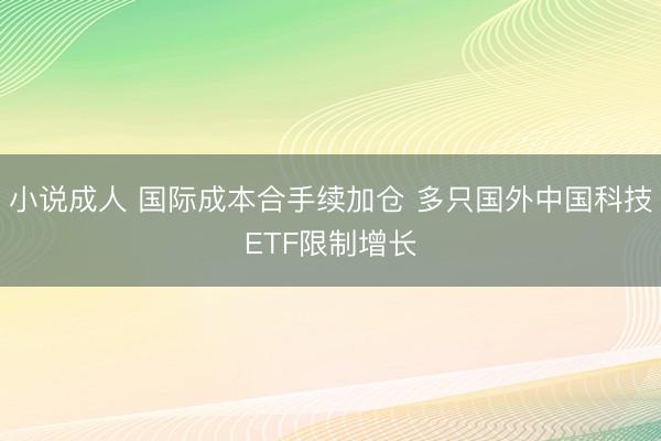小说成人 国际成本合手续加仓 多只国外中国科技ETF限制增长