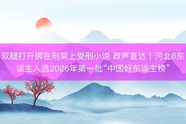 双腿打开绑在刑架上受刑小说 政声直达｜河北6东谈主入选2026年第一批“中国好东谈主榜”