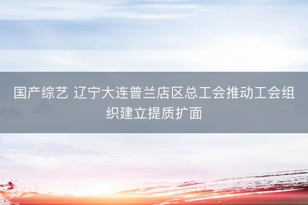 国产综艺 辽宁大连普兰店区总工会推动工会组织建立提质扩面