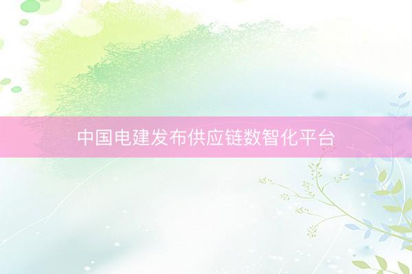 中国电建发布供应链数智化平台