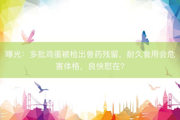 曝光:多批鸡蛋被检出兽药残留,耐久食用会危害体格,良快慰在?
