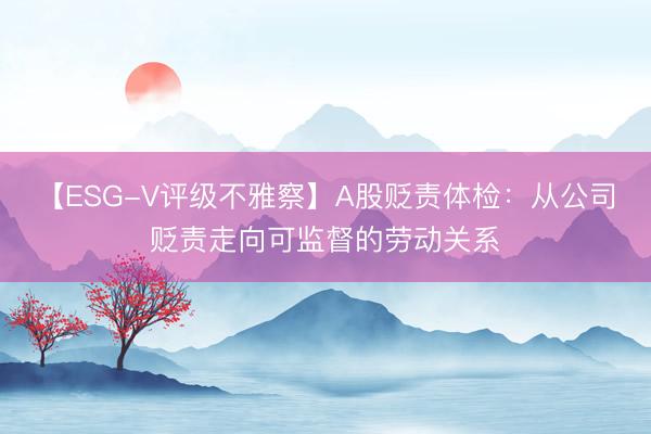 【ESG-V评级不雅察】A股贬责体检：从公司贬责走向可监督的劳动关系